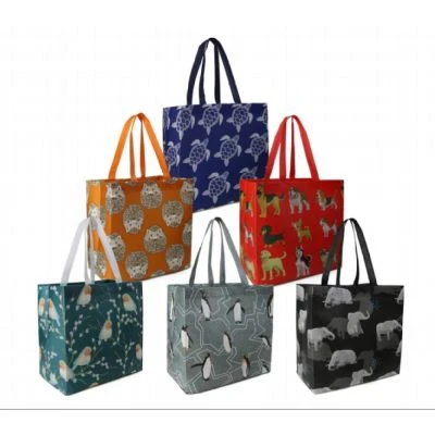 PP Non-Woven Bags